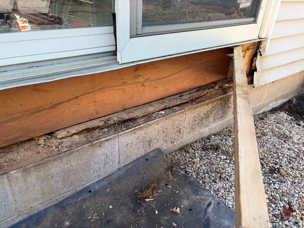 window 3